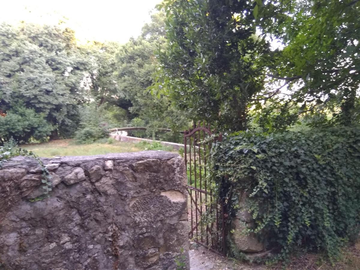 Apartmán Jankovich Castle Benkovac Exteriér fotografie